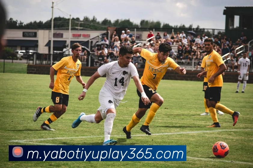 多媒体互动体验